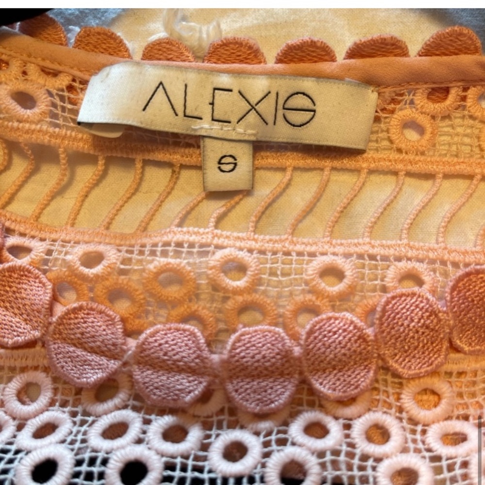 Sage fit and flare dress in blossom by Alexis - Picture 5 of 5